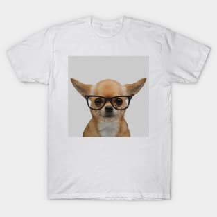 Portrait of Chihuahua with Nerd Glasses T-Shirt